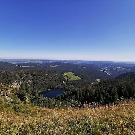 Fewo 1 - Residenz Schauinsland - Mit Sauna, E-Ladestation, Todtnauberg, Bei Feldberg Eksteriør bilde