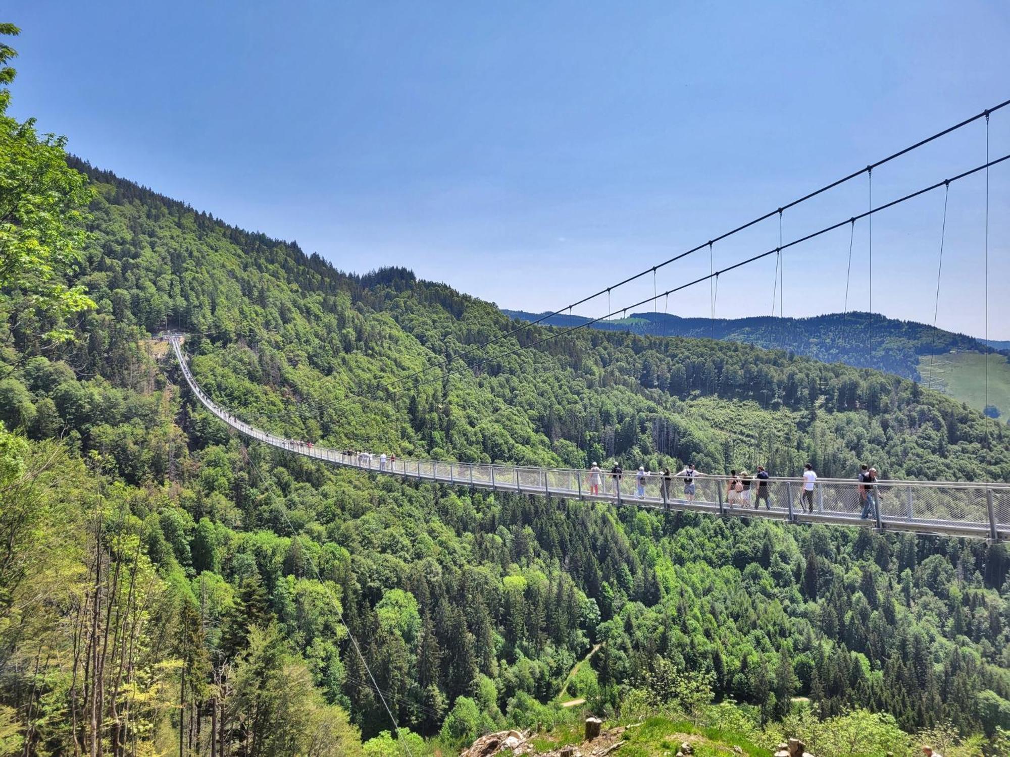 Fewo 1 - Residenz Schauinsland - Mit Sauna, E-Ladestation, Todtnauberg, Bei Feldberg Eksteriør bilde