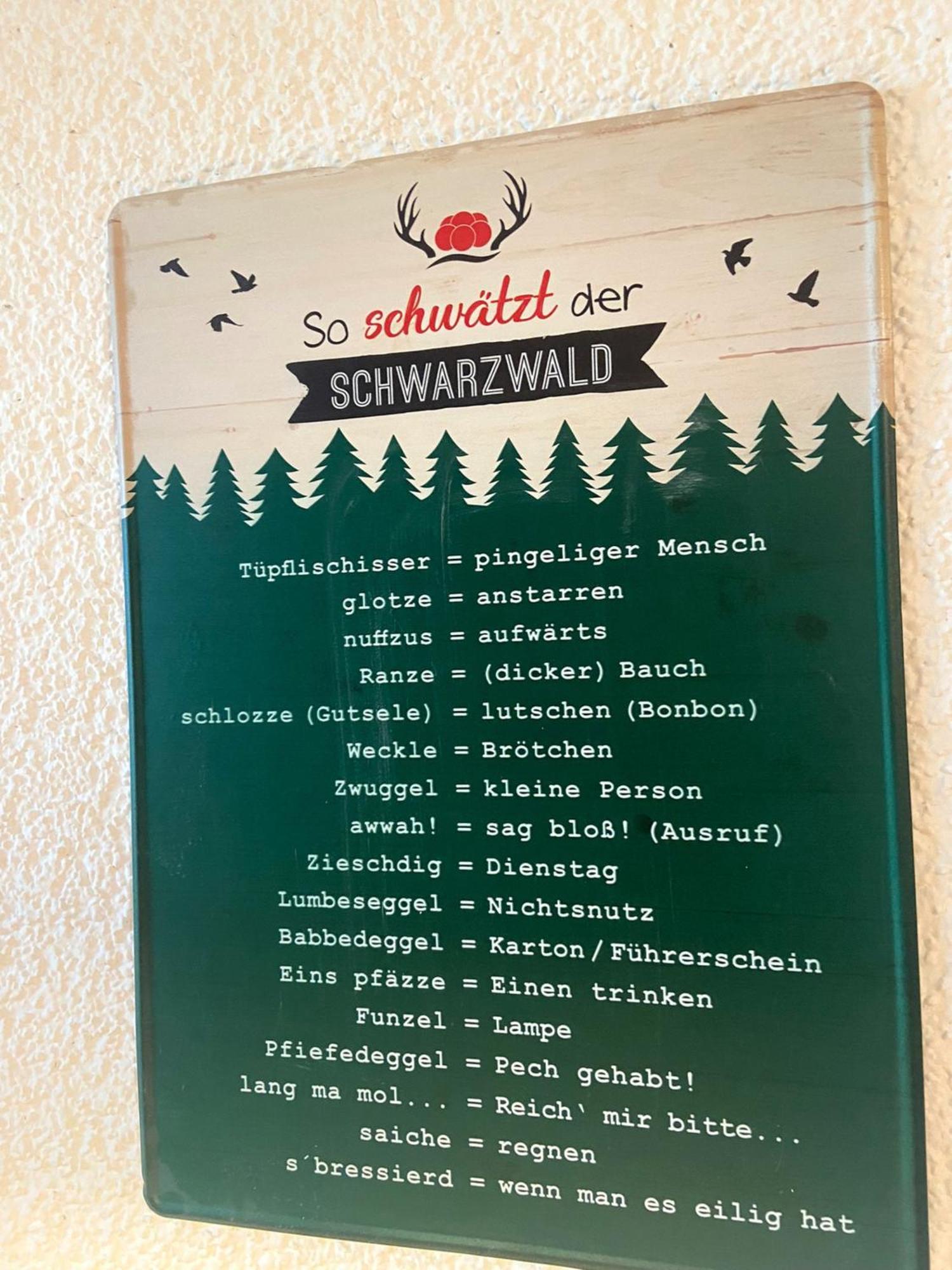 Fewo 1 - Residenz Schauinsland - Mit Sauna, E-Ladestation, Todtnauberg, Bei Feldberg Eksteriør bilde